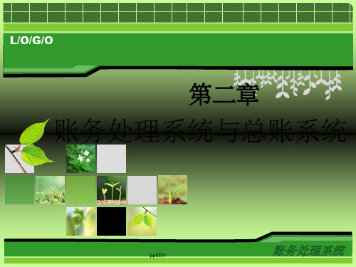 《账务处理系统》PPT课件 (2)
