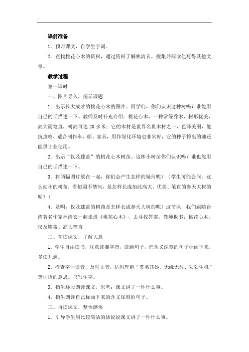 人教版小学语文《桃花心木》教学设计