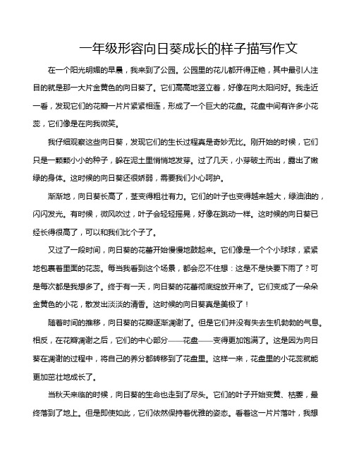 一年级形容向日葵成长的样子描写作文