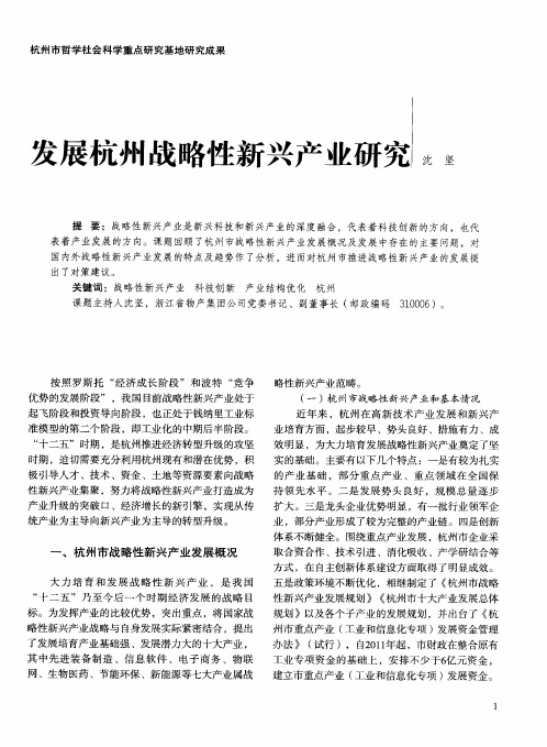 发展杭州战略性新兴产业研究