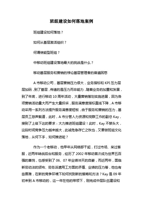 班组建设如何落地案例