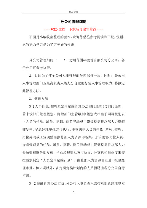 分公司管理细则