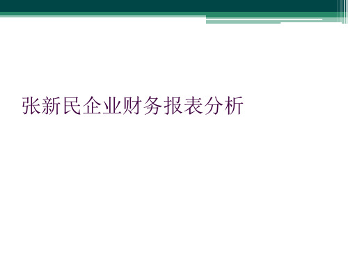 张新民企业财务报表分析