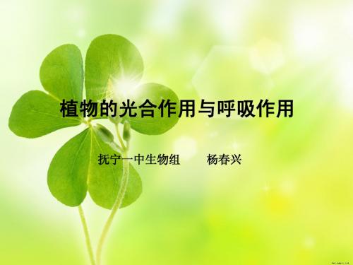 光合作用与呼吸作用课件