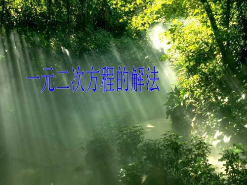 一元二次方程的解法(优质课)
