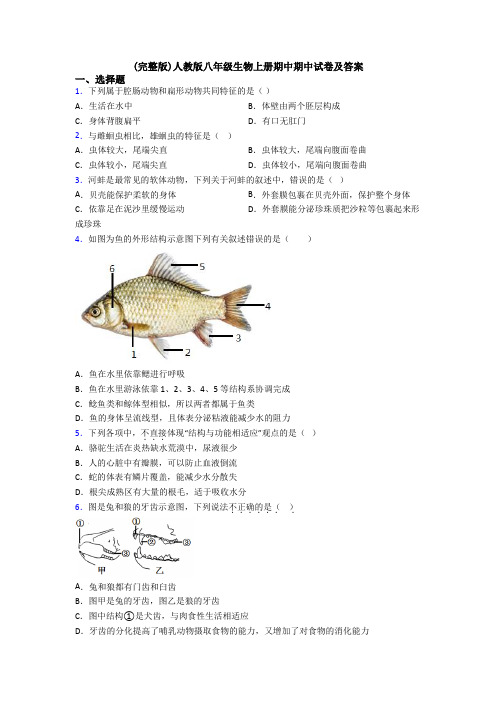 (完整版)人教版八年级生物上册期中期中试卷及答案