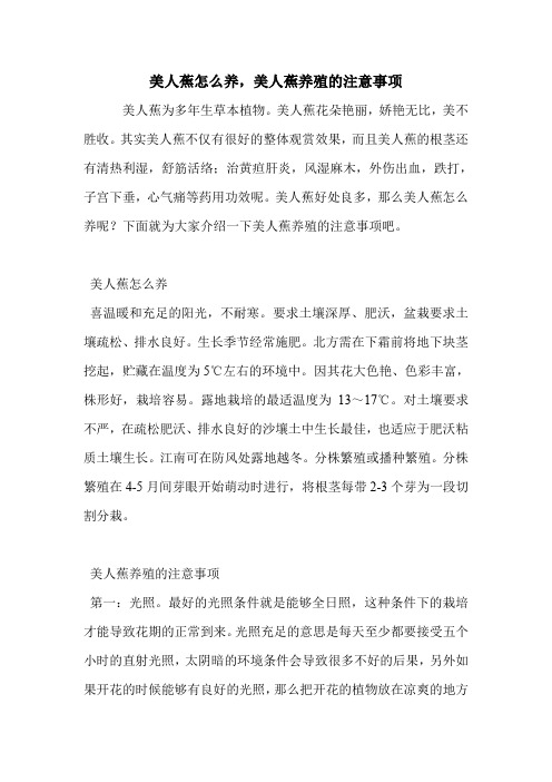 美人蕉怎么养,美人蕉养殖的注意事项.doc
