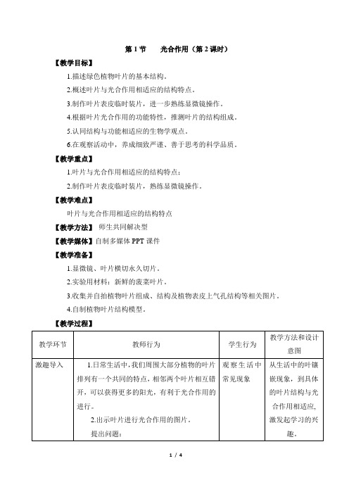 北师大版七年级生物上册5-1《光合作用》第2课时教案