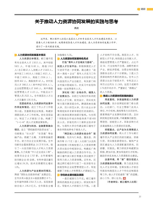 关于推动人力资源协同发展的实践与思考