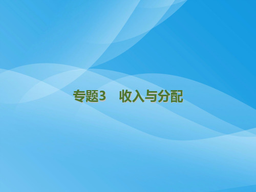收入与分配PPT课件9 通用