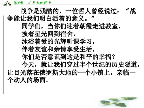 山东省枣庄第八中学北校高一语文必修二课件：第二专题《一个人的遭遇》