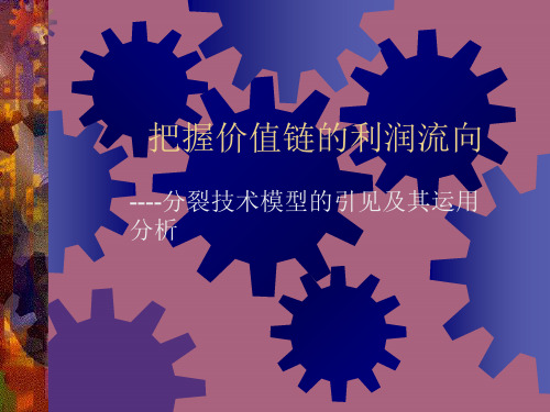 把握价值链的利润流向ppt课件