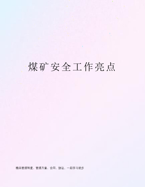 煤矿安全工作亮点