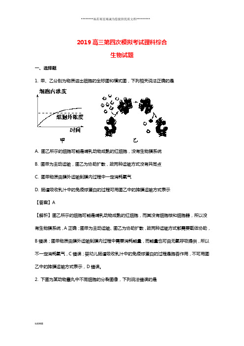 高三生物第四次模拟考试试题(含解析)