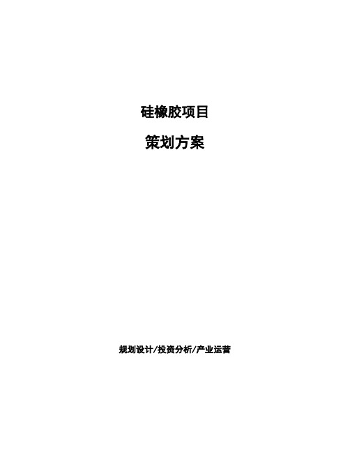 硅橡胶项目策划方案