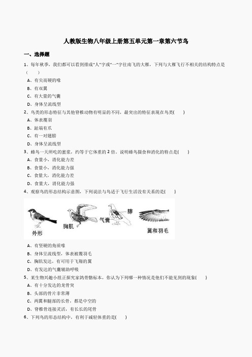 5.1.6鸟同步练习(含答案)