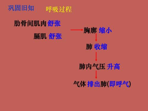 中学七年级生物下册 4.4.1 流动的组织—血液课件 (新版)新人教版