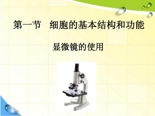 生物七年级上册3章1节细胞的基本结构和功能显微镜使用一课时课件北师大版