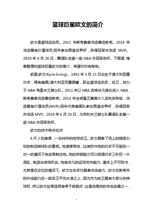 篮球巨星欧文的简介