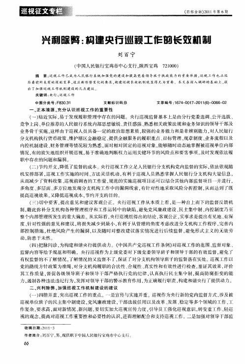 兴利除弊：构建央行巡视工作的长效机制