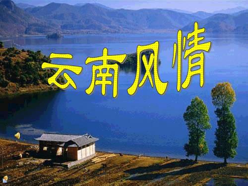 云南的歌会3