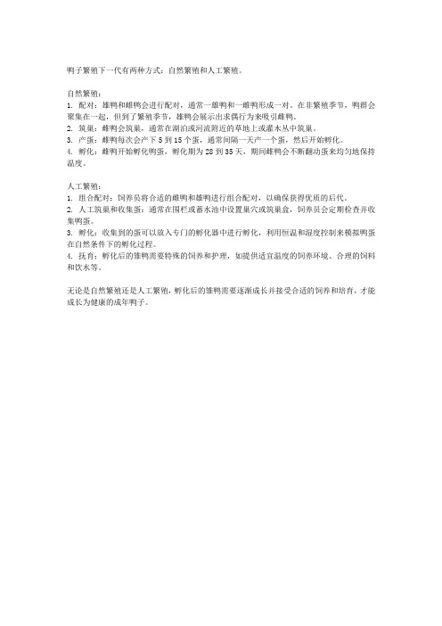 鸭子是怎么繁殖下一代的
