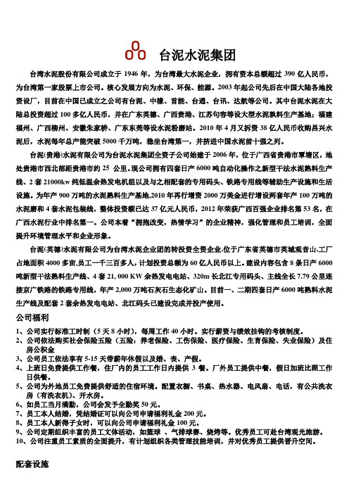 台泥水泥集团