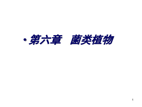 高中生物竞赛第6章   菌类植物课件