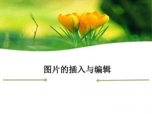 年四年级信息技术上册第12课图片的浏览和编辑课件1冀