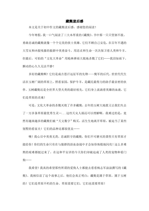 藏獒读后感_初中作文