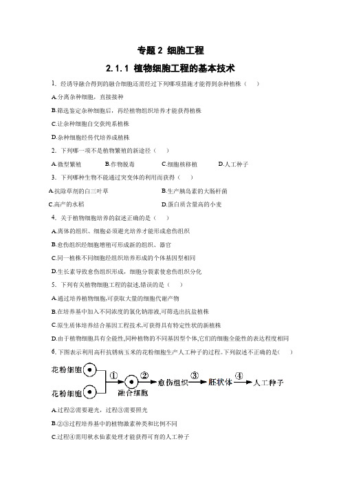 课时作业6：2.1.1 植物细胞工程的基本技术
