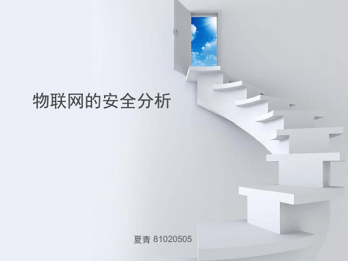 物联网安全分析