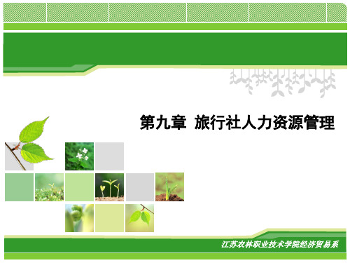 第九章旅行社人力资源管理