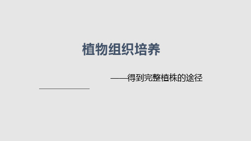 植物组织培养PPT课件