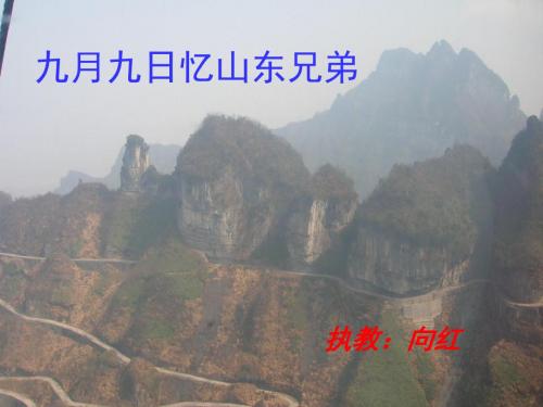 人教版三年级语文上册九月九日忆山东兄弟课件