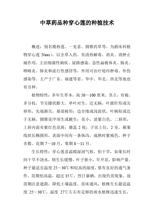 中草药品种穿心莲的种植技术