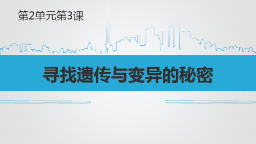 六年级下册科学_寻找遗传与变异的秘密苏教版(11张)精品课件
