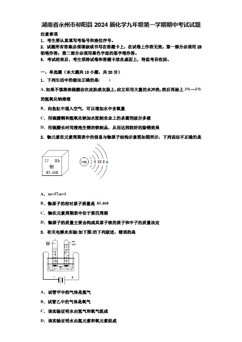 湖南省永州市祁阳县2024届化学九年级第一学期期中考试试题含答案解析
