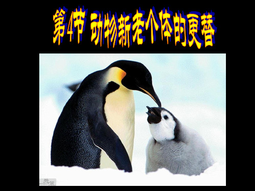 3-4动物新老个体的更替