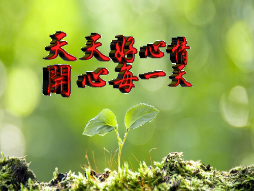 初中化学第七单元第一节酸及其性质PPT