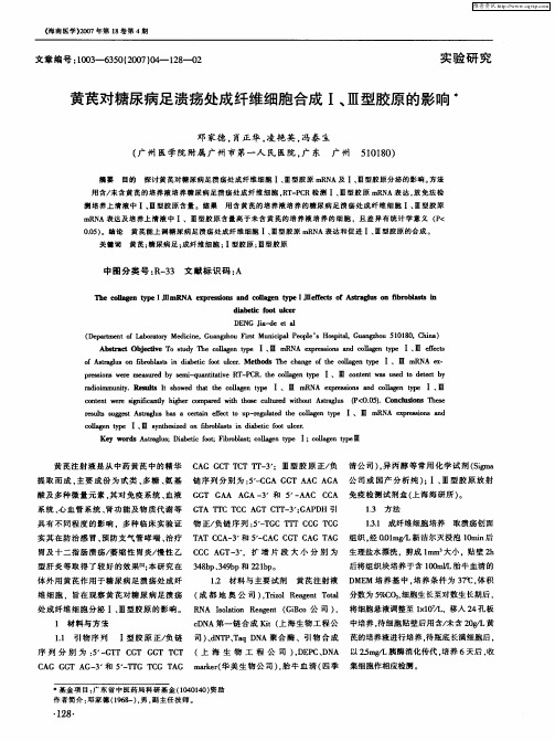 黄芪对糖尿病足溃疡处成纤维细胞合成Ⅰ、Ⅲ型胶原的影响