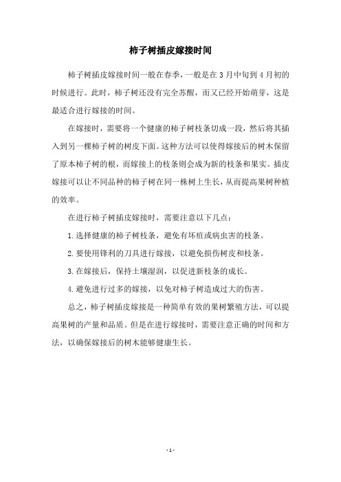 柿子树插皮嫁接时间