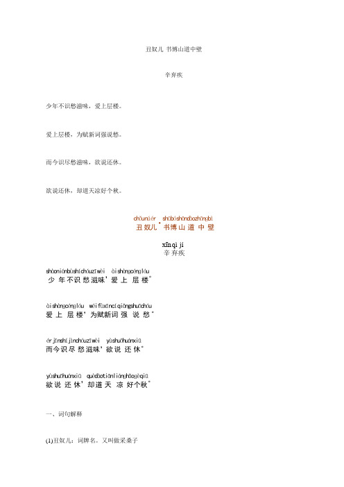 《丑奴儿·书博山道中壁》注音及解释整理