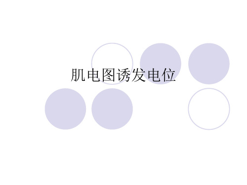 肌电图诱发电位仪