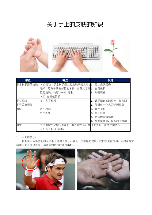 (完整版)关于手上的皮肤的知识