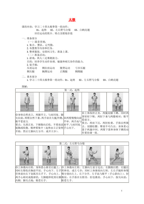 江苏省南通市唐闸中学九年级体育《太极(第3课时)》教案