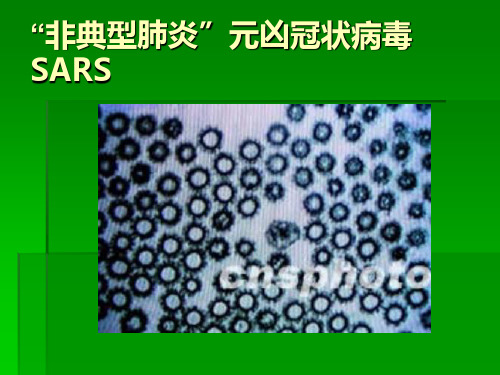 病毒简介