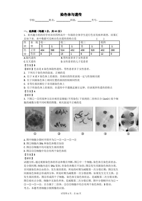 浙科版 染色体与遗传 单元测试