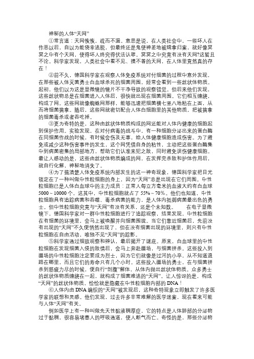 神秘的人体“天网”阅读训练及答案(2011昆明中考语文阅读题)