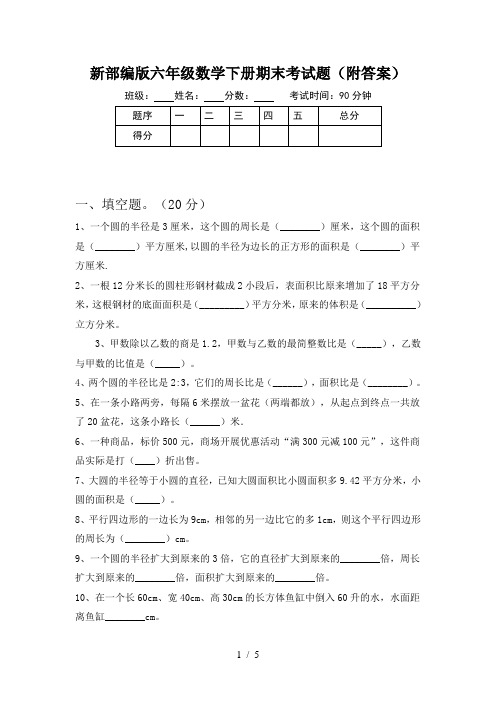 新部编版六年级数学下册期末考试题(附答案)